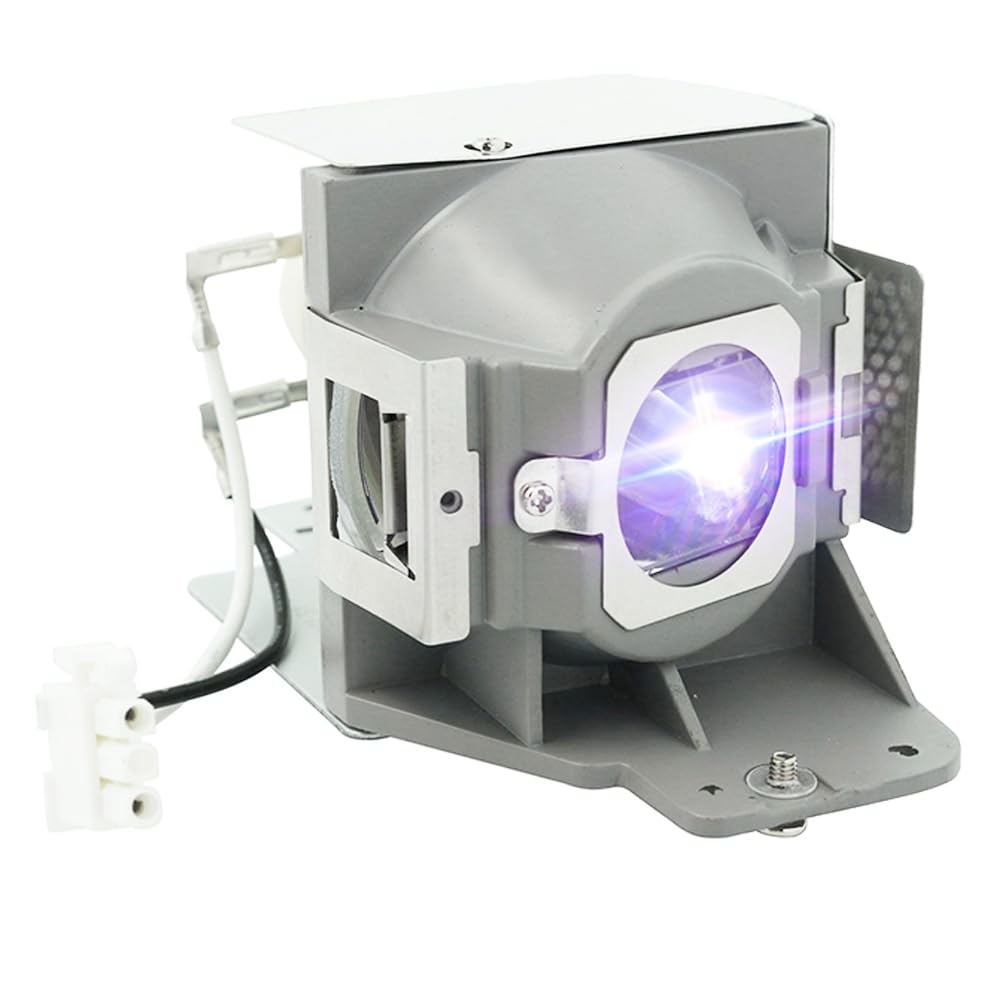 iReijomoi Replacement Lamp MC.JFZ11.001 RLC-079 Bulb with Housing for ACER H6510BD,for VIEWSONIC PJD7820HD PJD7822HDL Projectors
