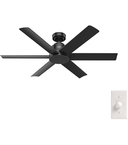 BST sports ster SPorts Hnter 510” Amazon.com: Hunter - Brazos 52-inch Indoor/Outdoor Matte
