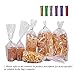 100 Clear Bags - 8'' x 16'' with 4
