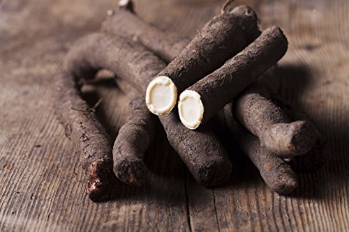 image for Fertile Ukraine Seeds Seeds Salsify Medical Black Root Vegetable Organ