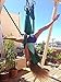 DASKING Premium Aerial Yoga Hammock Kit Flying Yoga Silk Kit (Dark Green)