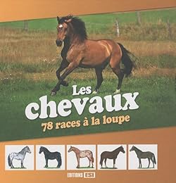 Les chevaux