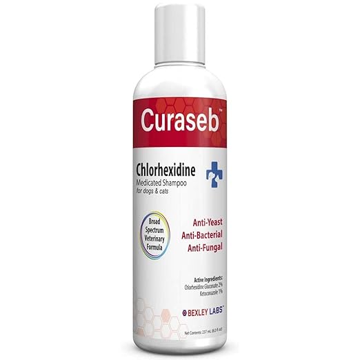 touching baby rabbits