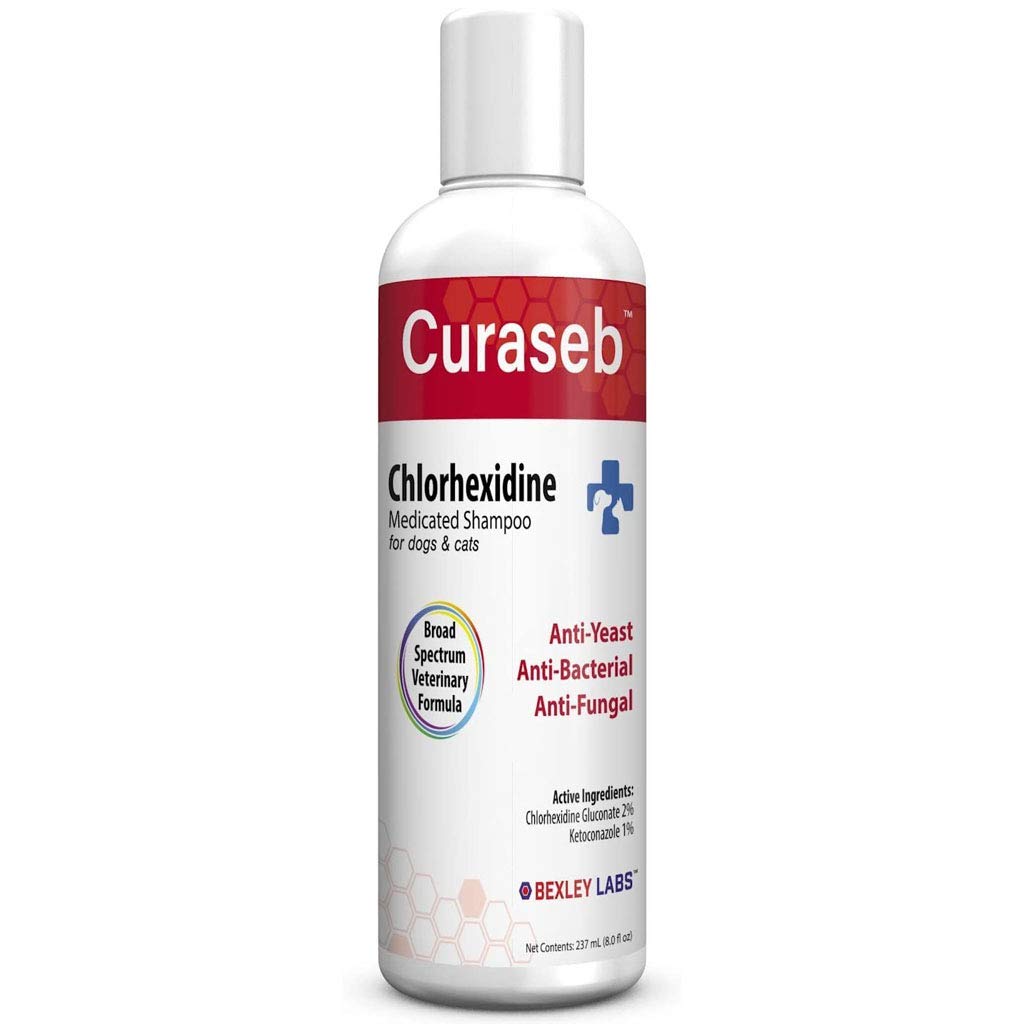 Bexley Labs Curaseb Medicated Chlorhexidine Shampoo For Dogs Cats Treats Skin Yeast Infections Allergies Itching Hot Spots And Smelly Odor Veterinary Formula Buy Online In Saudi Arabia At Saudi Desertcart Com Productid