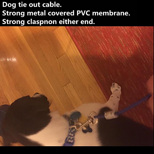 Dog Leashes, Petforu Pet Tie-out Cable Steel Wire Rope with Dual Heads Metal Hooks [3M /10Feet] - Thumbnail 6
