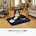 AIPERRO Dog Crate Pad Washable Dog Bed Mat Dog Mattress Pets Kennel Pad for Large Medium Small Dogs and Cats, 35