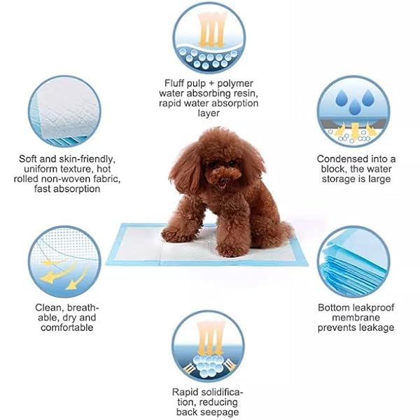 PUPPY AND DOG PEE PADS, THICKEN 6 LAYERS POTTY TRAINING PADS FOR DOGS CATS RABBITS WITH SUPER-ABSORBENT ＆ LEAK-PROOF DESIGN AND QUICK-DRY SURFACE (M, 45 * 60 CM, 50 COUNT)