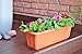 Matri Gina - 18 Inch Premium High-Density Plastic Rectangular Planter & Flower Window Planter Box - Lightweight Indoor Outdoor Plant Pots with Drainage - Set of 2 Units - Sand Color