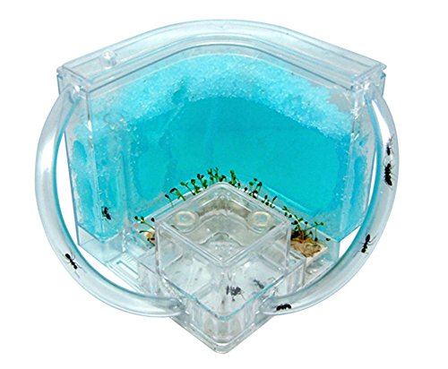 BleuMoo Advanced Ant Nursery Farm Maze Blue Gel Live Ant Habitat With Feeding