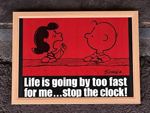 Amazon 1978年 スヌーピー ルーシー チャーリーブラウン ヴィンテージ アートフレーム ポスター Usa Snoopy ピーナッツ Peanuts おもちゃ ホビー