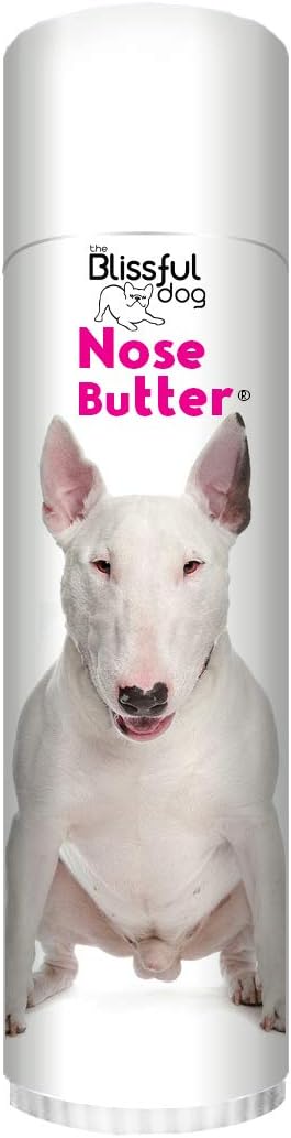 bull terrier nose