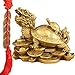 Feng Shui Wealth Prosperity Brass Dragon Turtle Statue Golden Good Luck Sculpture Free Set of 5 Lucky Charm Ancient Coins on Red String Chinese Charm of Prosperity Housewarming Congrat (Dragon Turtle)