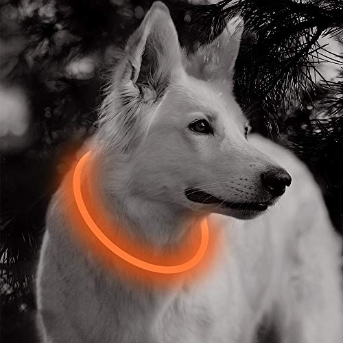 Bseen LED Dog Collar Cuttable Water Resistant Glowing Dog Collar