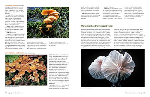 California Mushrooms: The Comprehensive Identification Guide - Thumbnail 6