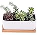 StarPack Premium Small White Ceramic Succulent Planter Pot with Bamboo Base