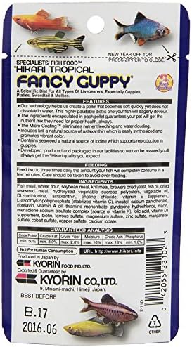 hikari usa tropical fancy guppy