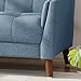 Christopher Knight Home GDFStudio Christopher Knight Home Alisa Mid Century Modern Fabric Loveseat, Blue