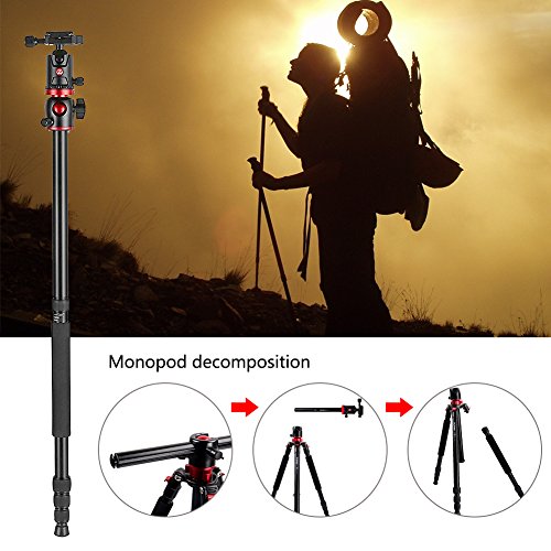 ZOMEi DSLR Camera Tripod 4 Section Portable Magnesium Aluminium Monopod Professional Tripods with 360 Degree Horizontal Rotation Ball Head Quick Release Plate for Canon Nikon Sony DSLR Cameras DV