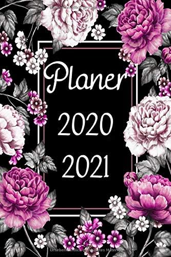 Planer 2020 / 2021: Tagesplaner 2020 / 2021 : DIN A5 Kalender / Terminplaner / Tageskalender für zwei Jahre Paperback – 13 Nov 2019