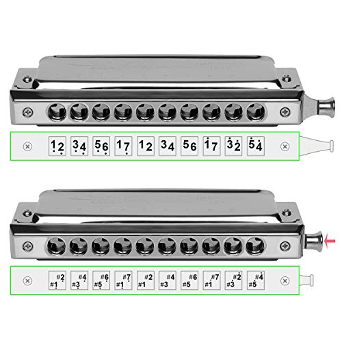 Chromatic Harmonica 10 Holes 40 Tone in C Key Stainless Steel Chromatics Harmonica with Hard Beautiful Case for Professional Player, Mouth Organ Harp Silver Best Music Gift for Beginner Student