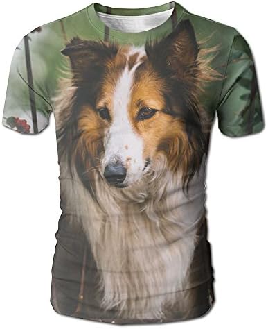XIA WUEY Rough Collie Men Cute Short Sleeve Tshirts Workout Sport Tees Raglan Shirt Tops For Gym