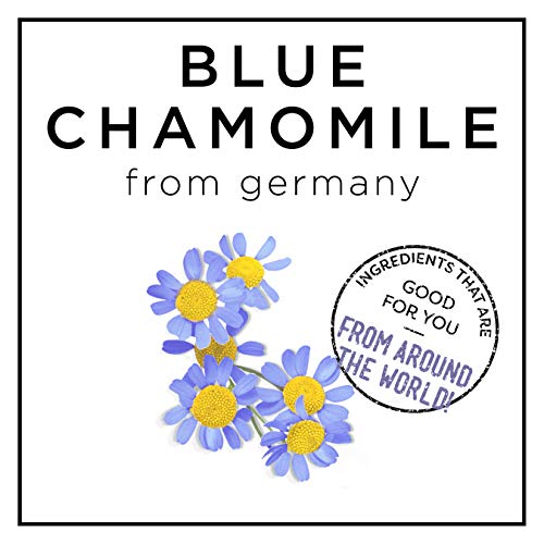 HASK BLUE CHAMOMILE 5-in-1 Leave In Conditioner Spray for blonde hair, color safe, gluten free, sulfate free, paraben… - Image 4