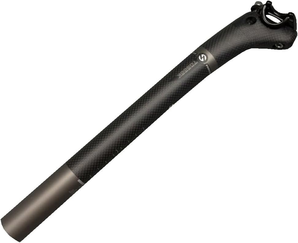 layback seatpost road bike