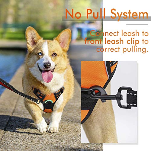 rabbitgoo Dog Harness,NoPull Pet Harness with 2 Leash Clips,Adjustable