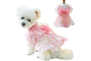 MQQYLBHDS Pink Dog Dress for Small Dog Girl Spring Puppy Clothes with Bow Puff Sleeves Cat Outfit Doggy Princess with Leash R