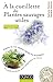 À la cueillette des plantes sauvages utiles - 2e éd. - Plantes de nos régions, sachez les reconna by