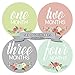 Months In Motion - Baby Month Stickers - Monthly Baby Sticker for Girls - Floral (1105)