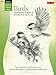 Drawing: Birds: Learn to draw a variety of amazing birds step by step (How to Draw & Paint)
