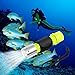 Oumers Diving Flashlight, Super Bright LED Diving Light Waterproof Underwater Torch for Scuba Diving and Other Outdoor Activities