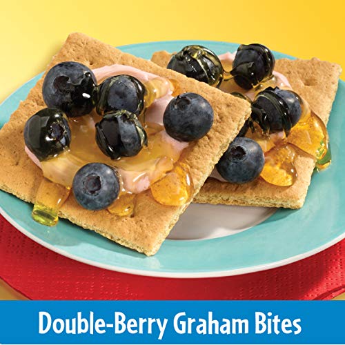 HONEY MAID LOW FAT HONEY GRAHAM CRACKERS, LUNCH SNACKS, 14.4 OZ
