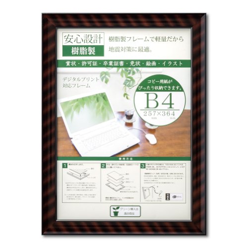 大仙 額縁 OA額 金ラック R B4 樹脂製 箱入 J335C6200