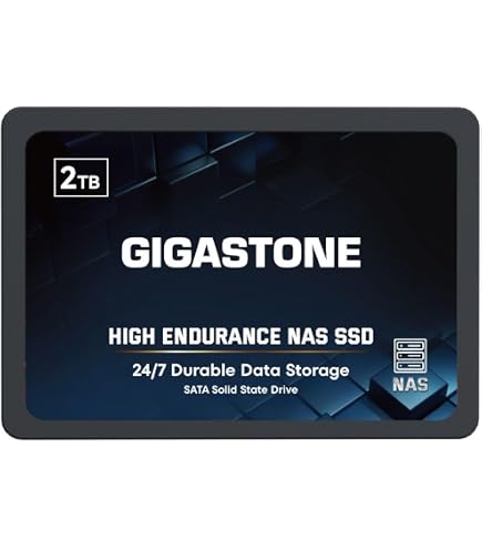 内蔵型SSD SSD2TB GiGASTONE Hight Performance Amazon.com: Gigastone 2TB High Endurance SSD (2-Pack) Up to 550MB