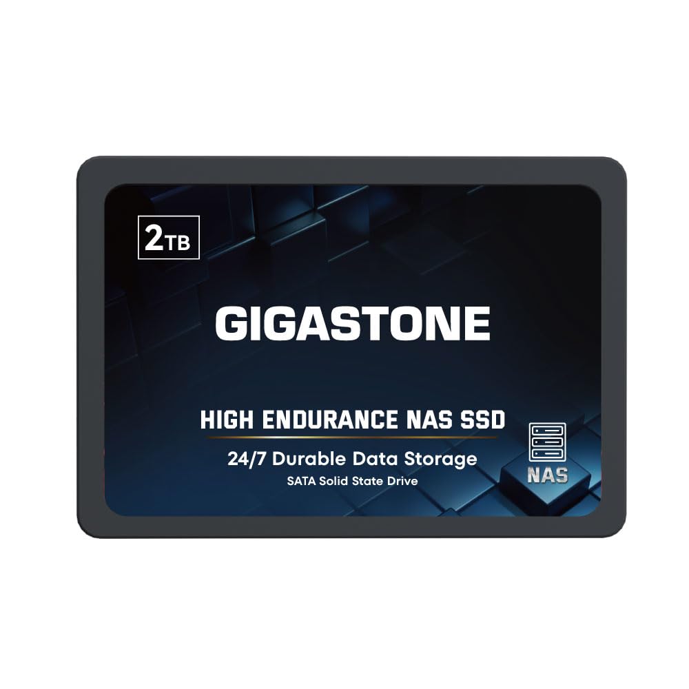 Gigastone Enterprise 2TB SSD NAS Cache 24/7 High Endurance Business Server Homelab Network Attached Storage RAID 2.5" SATA III Internal Solid State Drive 3D NAND SLC Cache Memory Expansion
