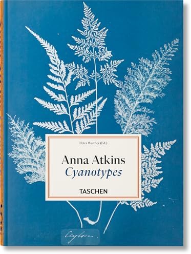 Encyclopaedia Aethiopica: Y-Z: Addenda et Corrigenda, Maps, Index