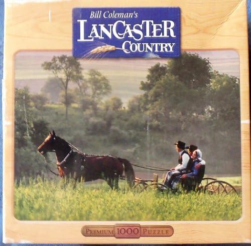 Bill Coleman's Lancaster Country Buggy Ride Puzzle