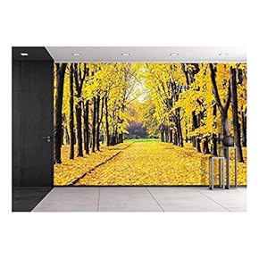 Alley in The Bright Autumn Park - Removable Wall Mural | Self-Adhesive Large Wallpaper - 66x96 inches