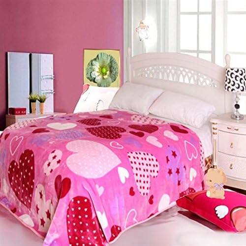 ShiGo Heavy Weight Super Soft Luxury Twin size Blanket 60"X80" Love Hearts