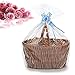 SelfTek 20Pack Clear Gift Basket Bags Large Cellophane Present Wrap Bags with 20Pack Bows Ribbon for Gifts and Baskets Wrapping,Arts & Crafts Packaging,Treat,Doll and Garment 32 by 22 Inches