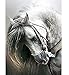 Diamond Embroidery Horse Home Decoration Rhinestone Set Diamond Painting Kits for Embroidery with Beads Size 20x30cm(7.9x12