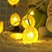 Novelty Lemon Decor Fairy String Lights with 20 LED, Battery Operated Warm Twinkle Christmas String Lights for Kitchen,Party,Wedding,Festival,Home Decorations,13ft/4m (Provide Two Extra Lemon Slices)