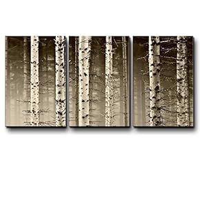 Three Piece Spikey Aspen Tree Forest in a...