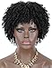 Kalyss Premium Synthetic Short Afro Kinky Curly Wigs for Black Women Realistic Black Curly Wigs Lightweight Soft Natural Curls Hair Wigs
