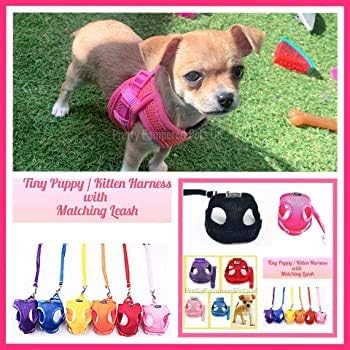 chihuahua harness xxs