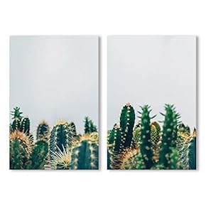 Spikey Cactus Gray Background - 2 Panel Canvas Art