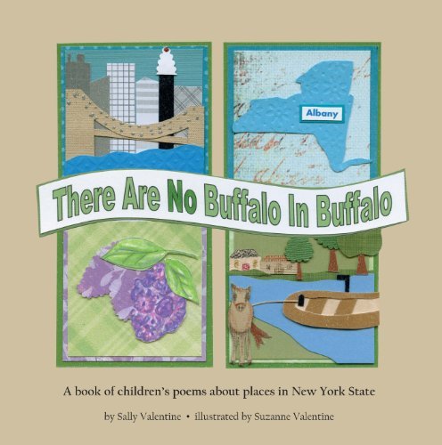 There Are No Buffalo in Buffalo
