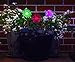 Pathway Solar Lighting - Christmas Light Decoration - LED Waterproof Lights - Pack of 3 Flowers